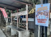 Marak Pemasangan Pamflet Bakal Calon di Pohon dan Tiang Listrik, Bawaslu Banggai: Penertiban Belum Wewenang Kami