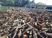 Beli Kayu Gelondongan, PT. Sasl and Sons Diduga Belum Memiliki Izin Resmi