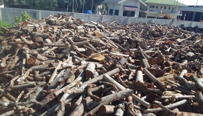 Beli Kayu Gelondongan, PT. Sasl and Sons Diduga Belum Memiliki Izin Resmi