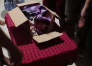 Polisi Selidiki Penemuan Bayi di Depan Pagar Panti Asuhan
