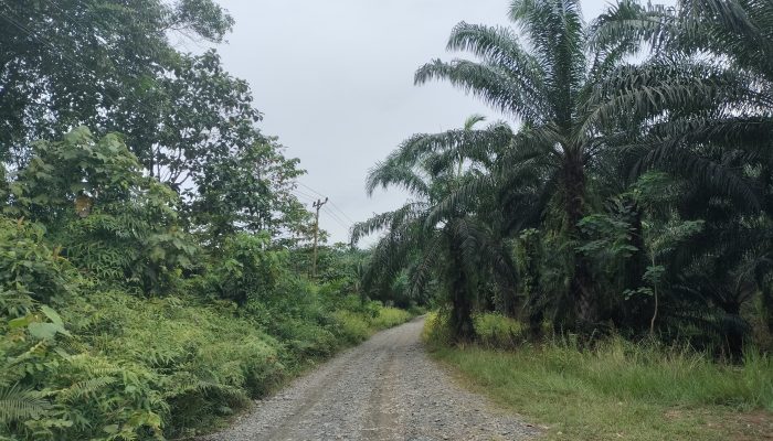 Jalan Menuju Desa Bumi Harapan Rusak Parah, Warga Desak Perusahaan Sawit Ikut Bertanggung Jawab