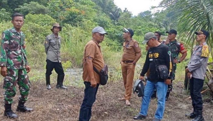 Penanaman Perdana Kelapa Sawit di Tojo Una-Una Dimulai 2025, Camat Ampana Tete: Langkah Cepat Bupati Terpilih