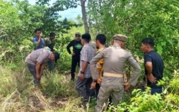 Bukti Keseriusan Pemda Touna Implementasikan Program Prabowo, Bupati Ilham Lawidu Tinjau Rencana Lokasi Pembangunan SR